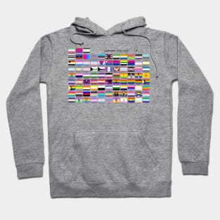 all pride flags Hoodie